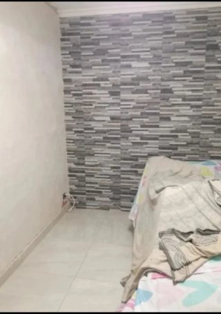 Albañiles profesionales