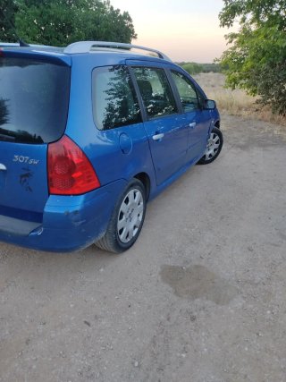 Peugeot 307 2006