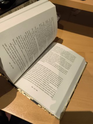 El secreto de Xein