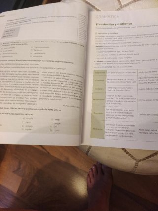 Reflejo 1. Lengua castellana y Literatura 1 ESO