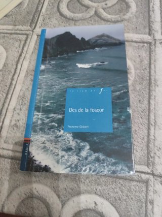 Des de la foscor