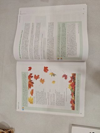 Remor. Llengua catalana i Literatura 1 Batxillerat
