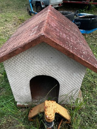 Caseta para perro grande se regala,