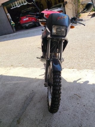 Honda Dominator 250