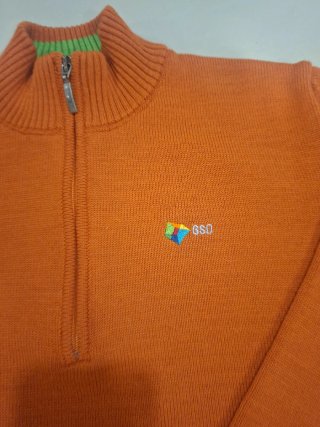 Jersey colegio GSD T16