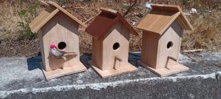 Casetta per uccelli in legno