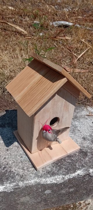 Casetta per uccelli in legno