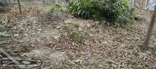 Terreno en Venta - Ecuador