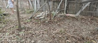 Terreno en Venta - Ecuador