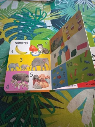 Libro infantil “Mi diccionario ilustrado”
