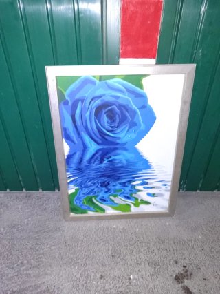 Cuadro Rosa Azul Reflejada en Agua