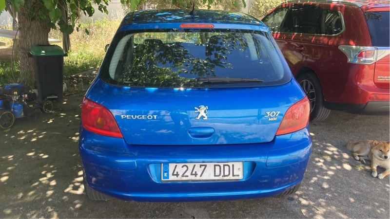 Peugeot 307 1.6HDI XS 110CV - foto 1