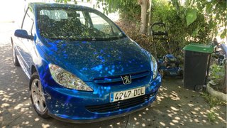 Peugeot 307 1.6HDI XS 110CV
