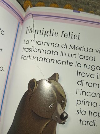 Lotto n.2 libri