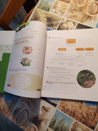 Natural Science, Primary 5, Comunidad de Madrid...