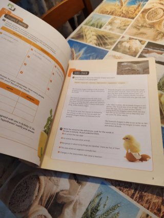 Natural Science, Primary 5, Comunidad de Madrid...