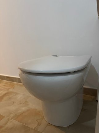 Bidé Roca Meridian Blanco. Esta en buen estado.