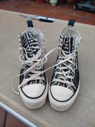 Converse Chuck Taylor All Star Cebra