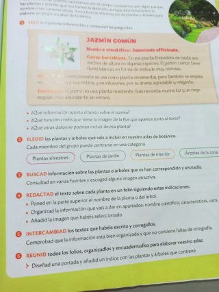Lengua Castellana, 6 Primaria, Mochila ligera, ...