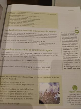 Término, Lengua, Bachillerato