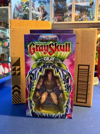 Masters del Universo Gray Figura