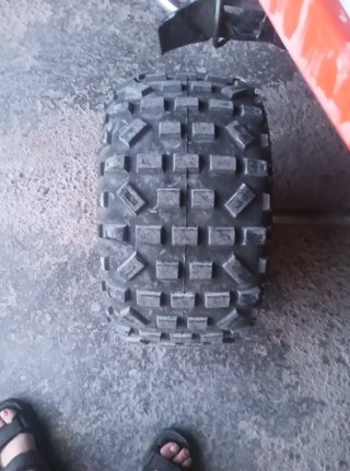 Polaris predator 500