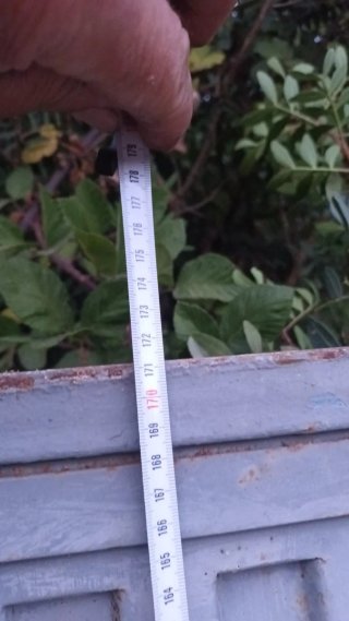 Puerta de hierro con cerradura