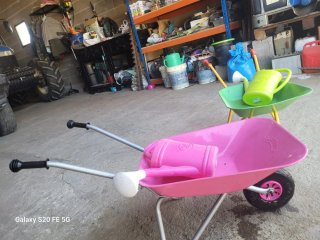 Carretilla Rolly Toys Rosa