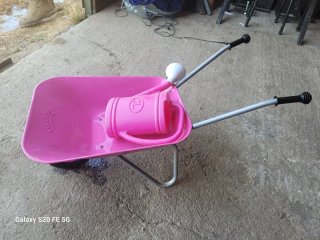 Carretilla Rolly Toys Rosa
