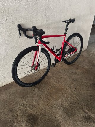 Specialized Tarmac SL6 carbono talla 52