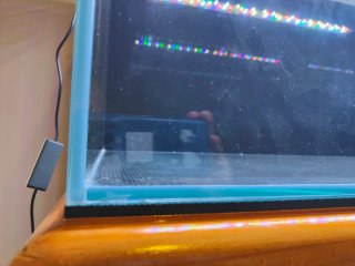 Acuario ICA Aquascape 180