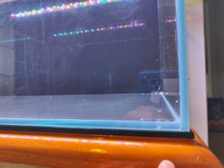 Acuario ICA Aquascape 180