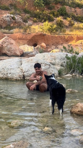 Cuidado de animales