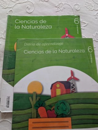 Lote libros 6° de primaria