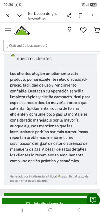 Barbacoa de gas negra
