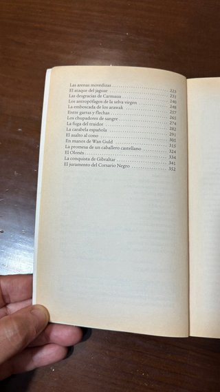 El corsario negro