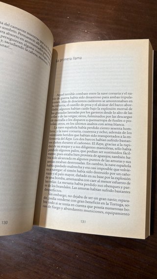 El corsario negro