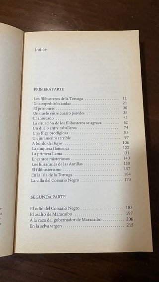 El corsario negro
