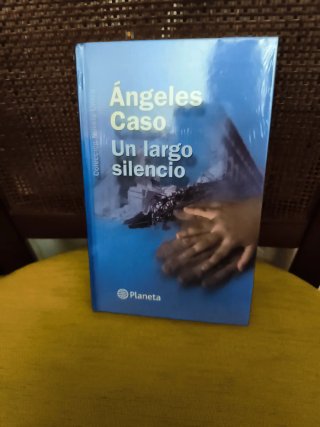 Un largo silencio