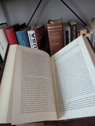 Historia de la literatura universal