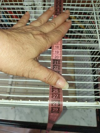 Jaula grande de pajaros