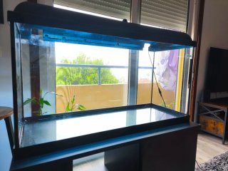 Acuario Acualed 100L con accesorios NO NEGOCIABLE