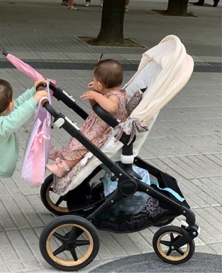 Bugaboo Fox Silla de Paseo