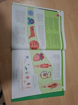 BIOLOGIA Y GEOLOGIA C-LEON 3 ESO CONSTRUYENDO MUND