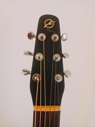 SEAGULL S6 / CW Electroacustica