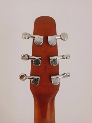 SEAGULL S6 / CW Electroacustica
