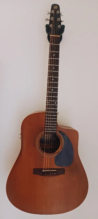 SEAGULL S6 / CW Electroacustica