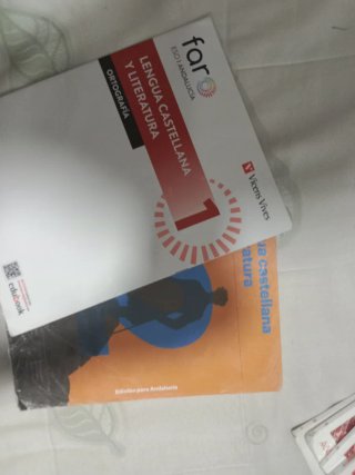 Lote de libros 2 ESO