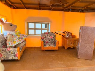 Casa Sylvanian Families + Accesorios