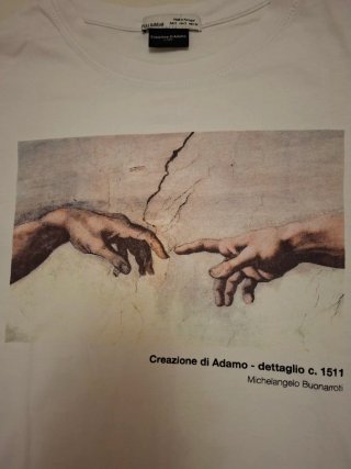 Camiseta Pull&Bear Creación de Adán Talla S